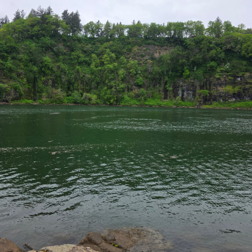 The view of Willamette River from Elk Rock Island